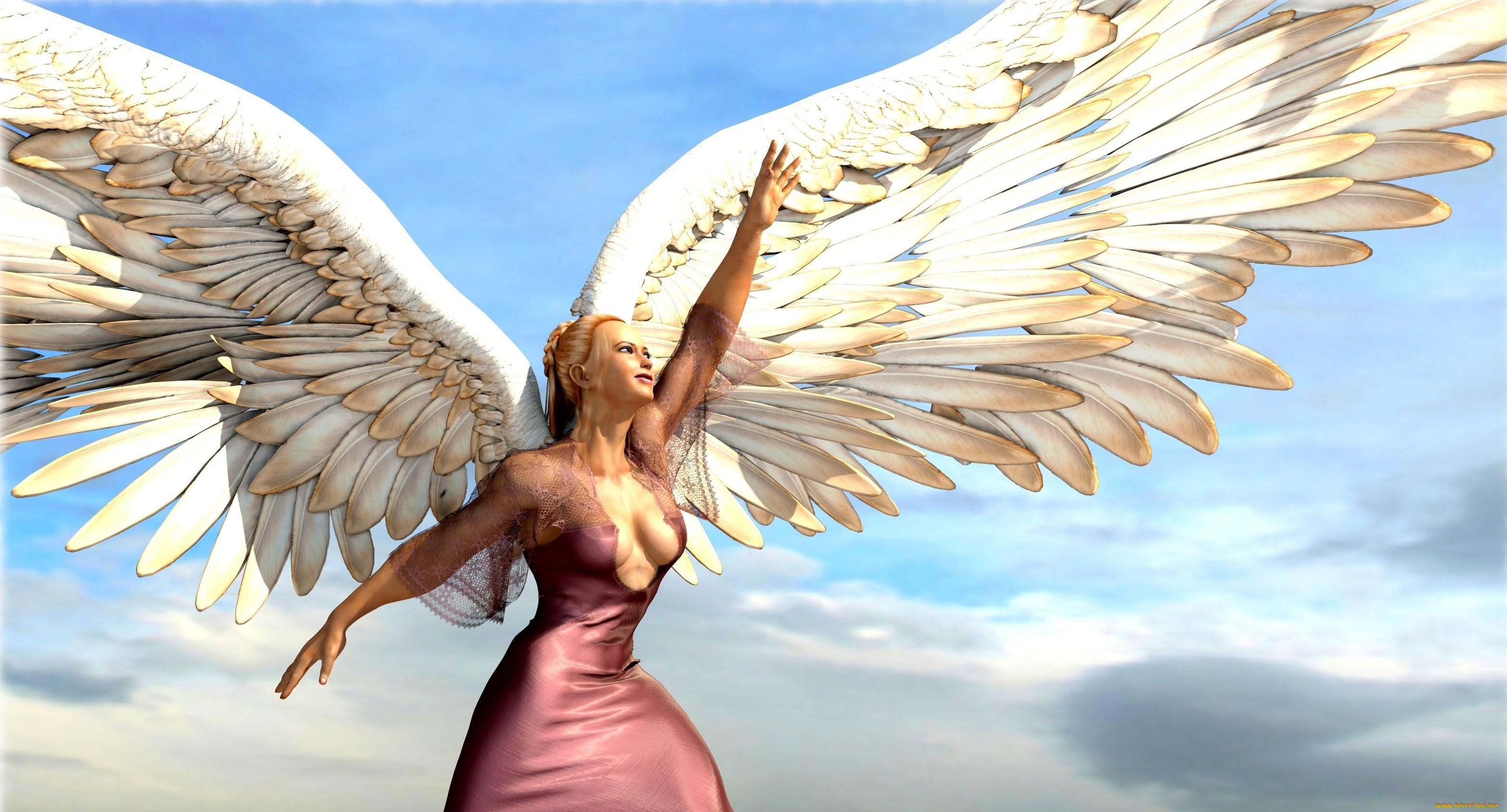 3 ,  , angel, , , , 